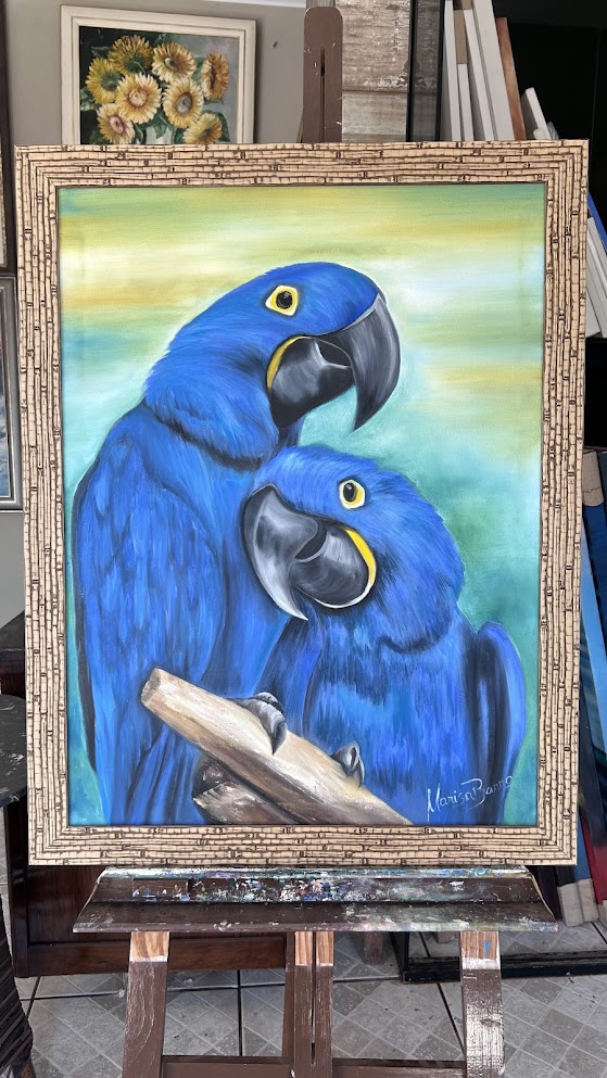 Arara azul